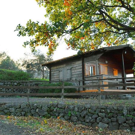 לינגואגלוסה Agriturismo Kikajon מראה חיצוני תמונה