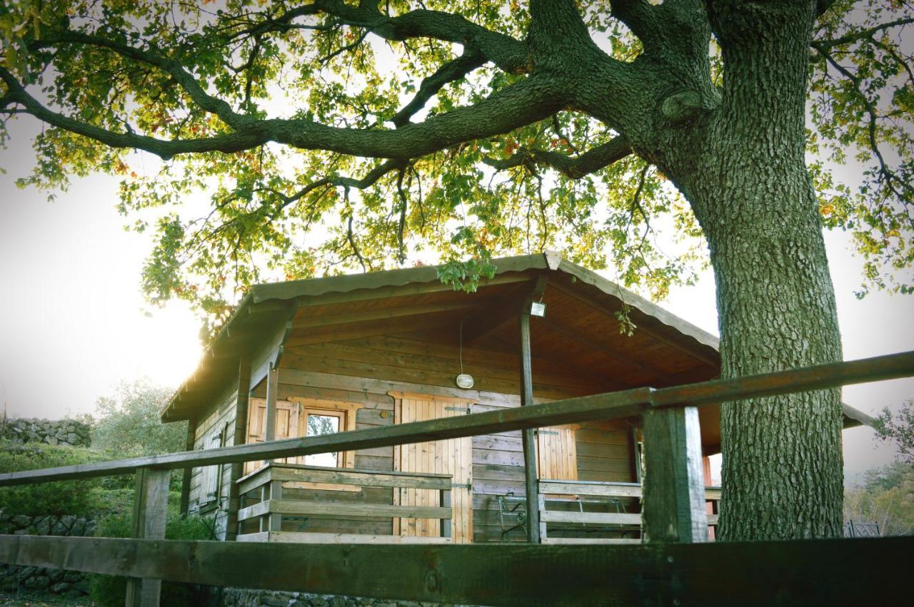 לינגואגלוסה Agriturismo Kikajon מראה חיצוני תמונה