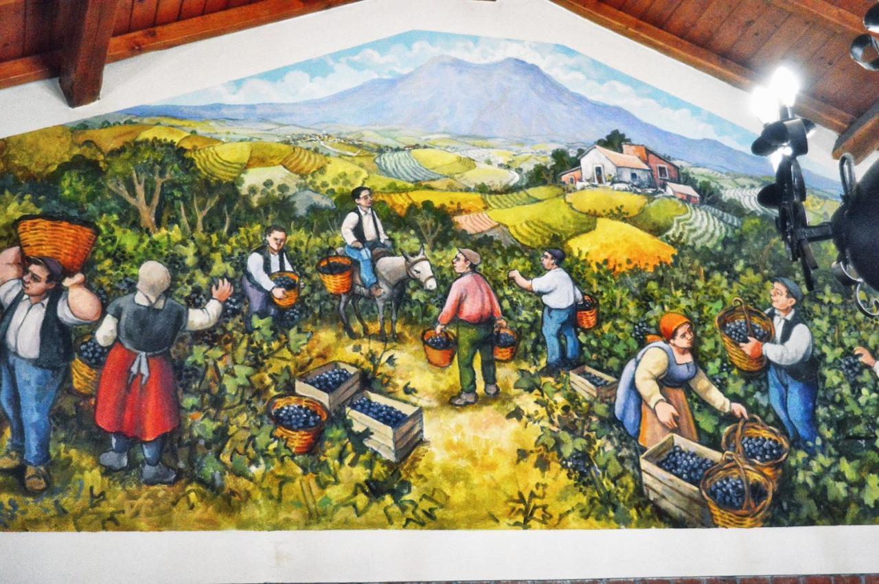 לינגואגלוסה Agriturismo Kikajon מראה חיצוני תמונה
