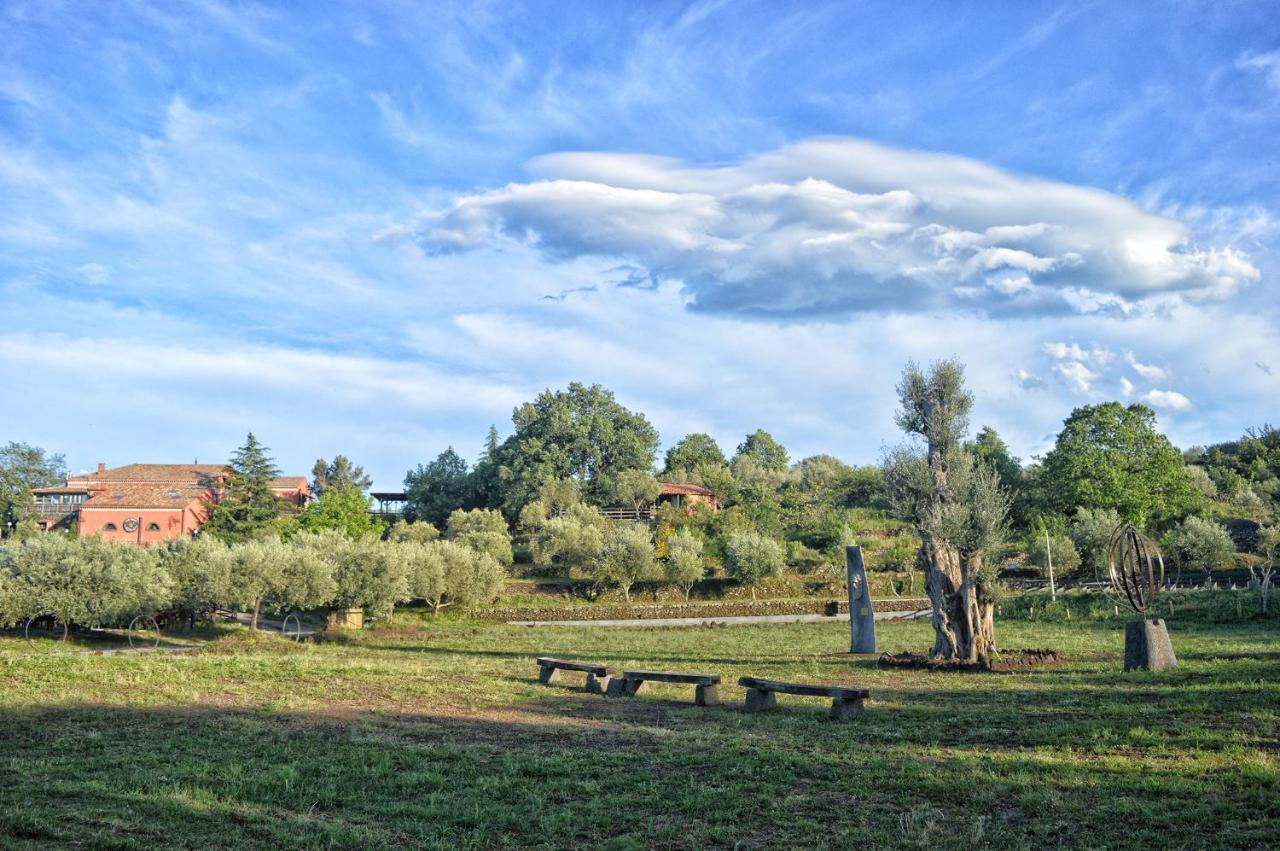 לינגואגלוסה Agriturismo Kikajon מראה חיצוני תמונה