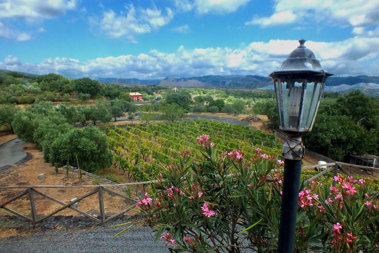 לינגואגלוסה Agriturismo Kikajon מראה חיצוני תמונה