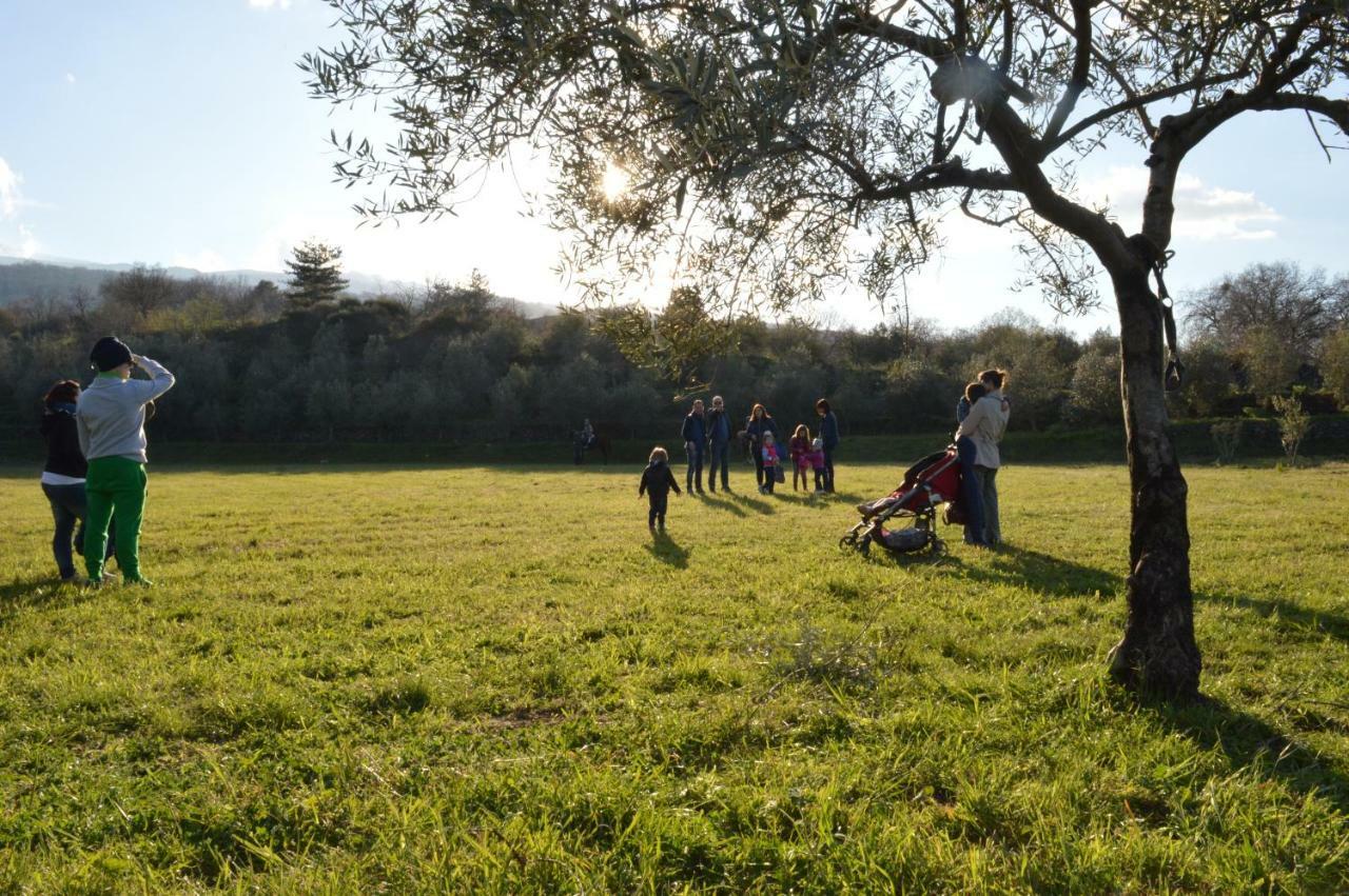 לינגואגלוסה Agriturismo Kikajon מראה חיצוני תמונה